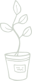 Manutenção de Jardins de Condomínio na Vila Medeiros