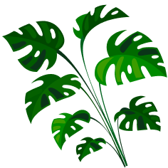 Manutenção de Jardins de Condomínio na Vila Medeiros