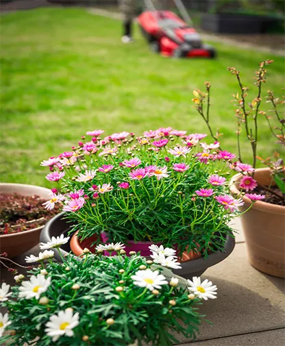 Manutenção de Jardim na Vila Medeiros