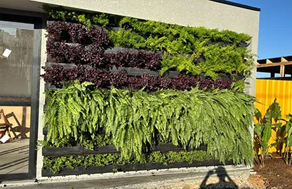 Manutenção de Jardim de Empresa na Vila Medeiros
