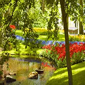 Manutenção de Jardins de Condomínio na Vila Medeiros