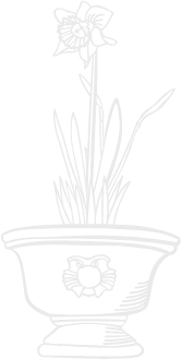 Manutenção de Jardins de Condomínio na Vila Medeiros